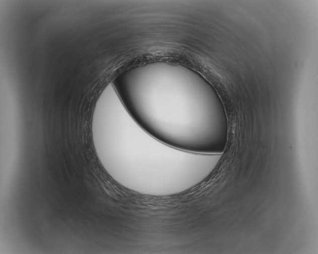 X0000108480868200904031117