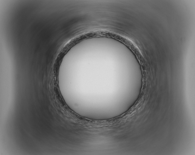 X0000108480871200904031117