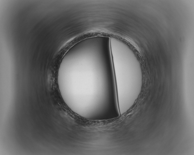 X0000108480872200904031117