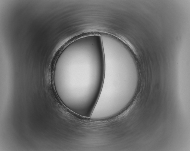 X0000108480877200904031117