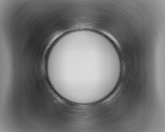 X0000108480878200904031117