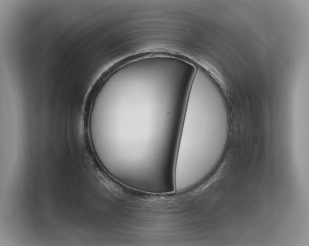 X0000108480880200904031117