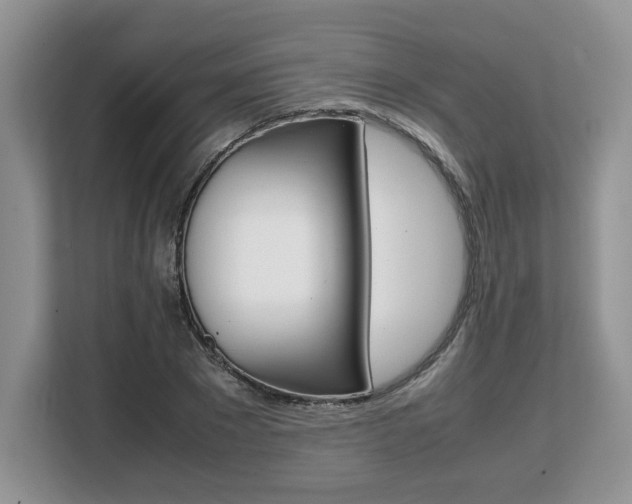 X0000108480881200904031117