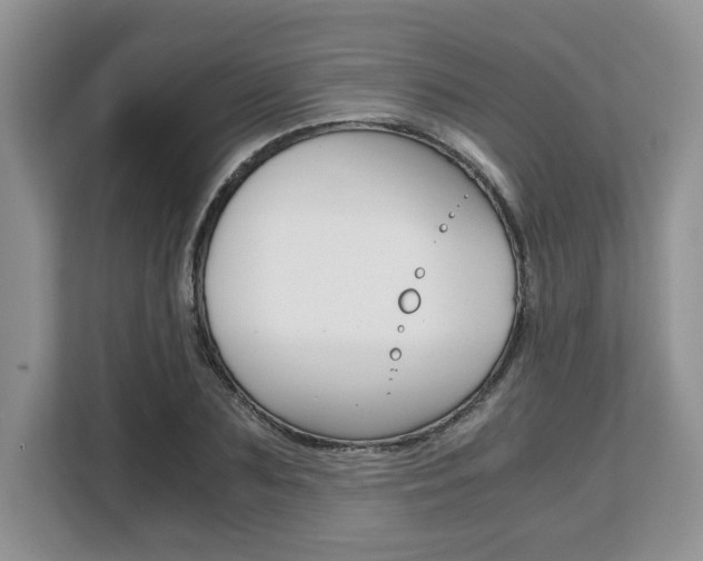 X0000108480883200904031117