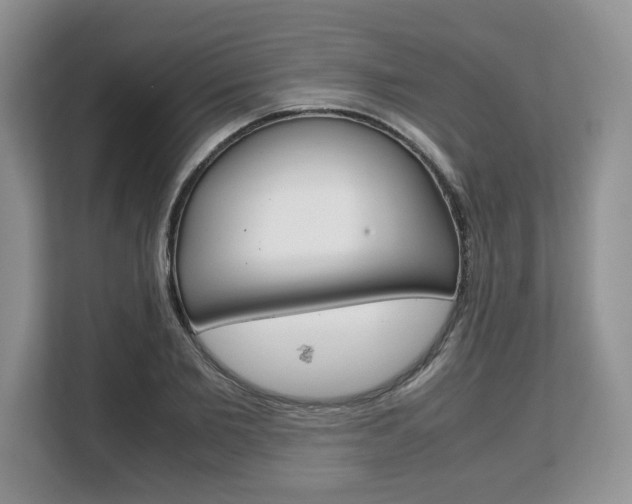 X0000108480885200904031117