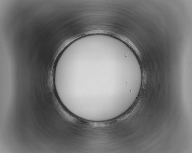 X0000108480890200904031117
