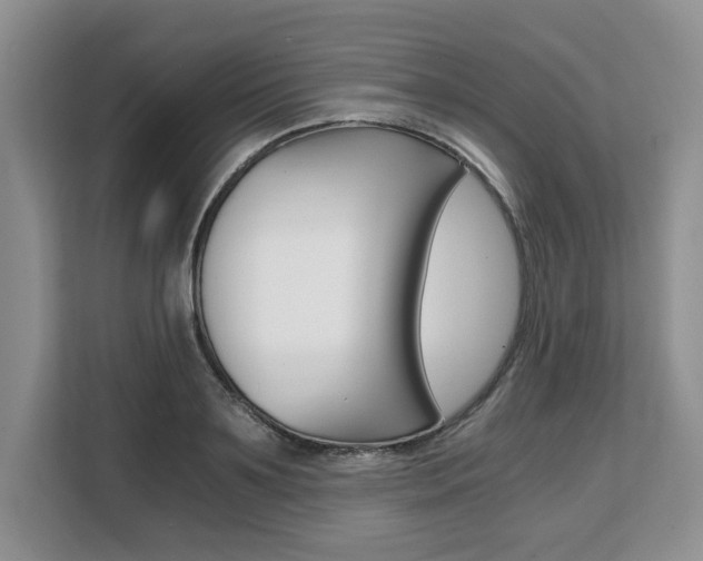 X0000108480891200904031117