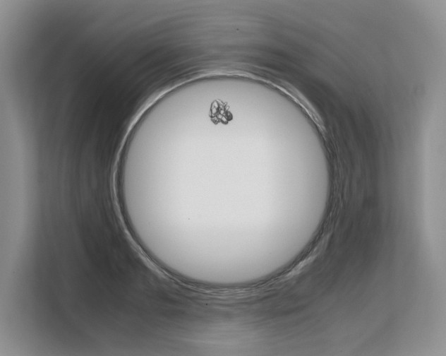 X0000108480893200904031117