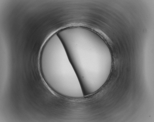 X0000108480894200904031117