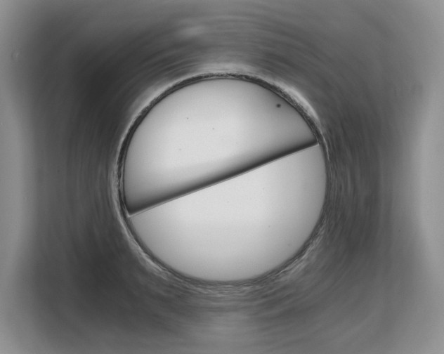X0000108480895200904031117