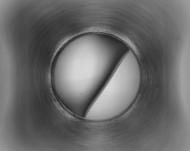 X0000108480896200904031117