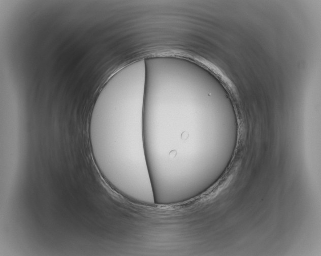 X0000108480897200904031117