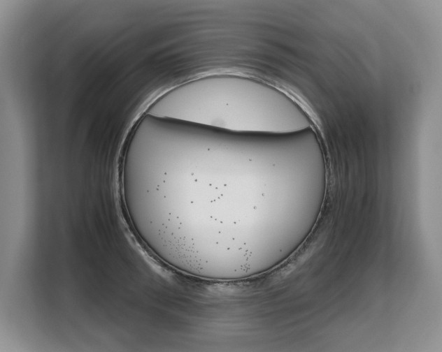 X0000108480898200904031117