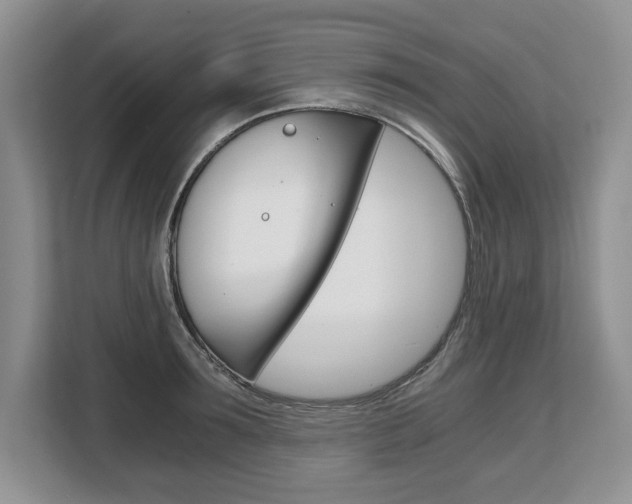 X0000108480899200904031117