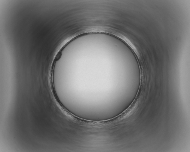 X0000108480901200904031117