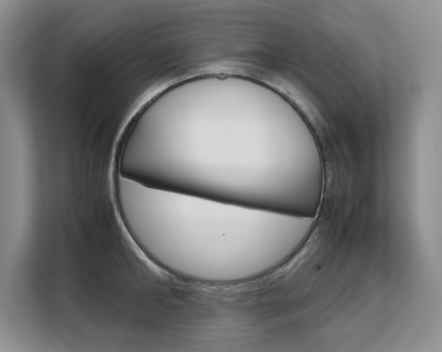 X0000108480902200904031117