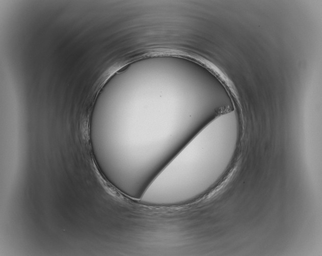 X0000108480905200904031117