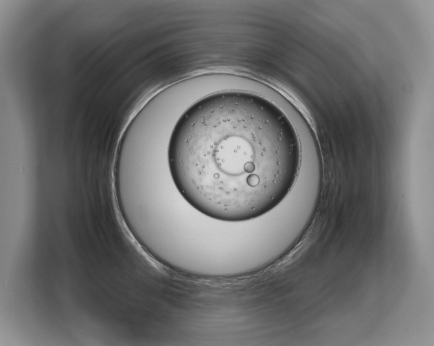 X0000108480906200904031117