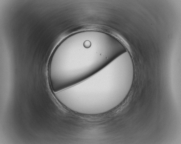 X0000108480907200904031117