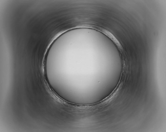 X0000108480908200904031117