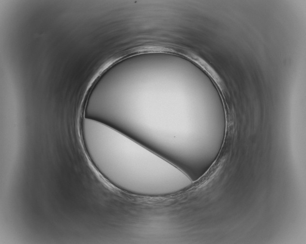 X0000108480909200904031117
