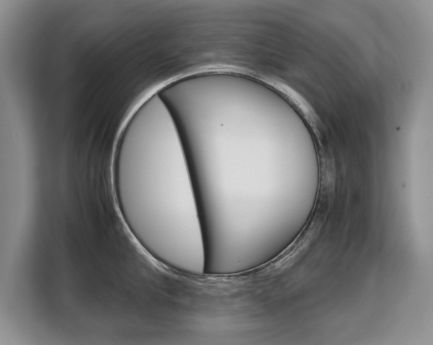 X0000108480910200904031117