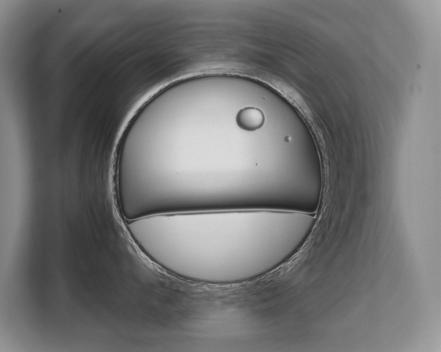 X0000108480912200904031117