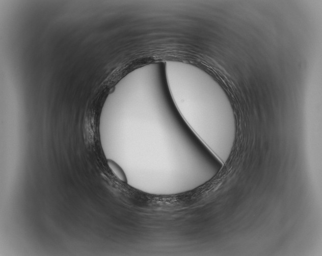 X0000108480915200904031116