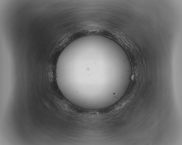 X0000108480916200904031116