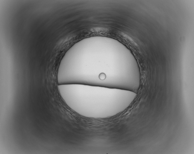 X0000108480917200904031116