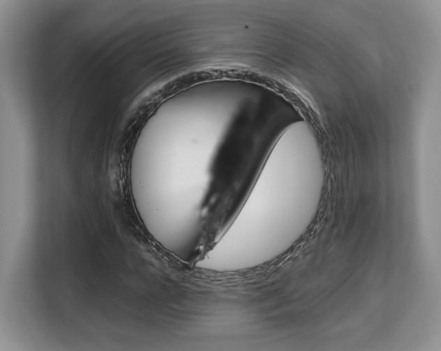 X0000108480920200904031116