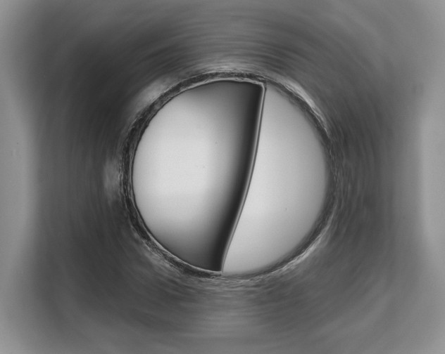 X0000108480922200904031116