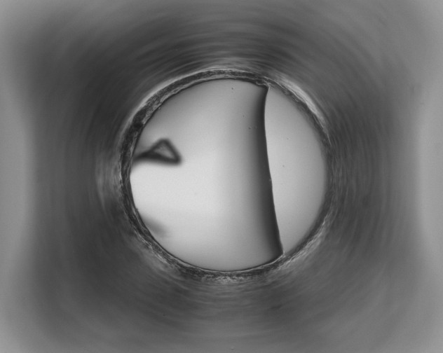 X0000108480923200904031116