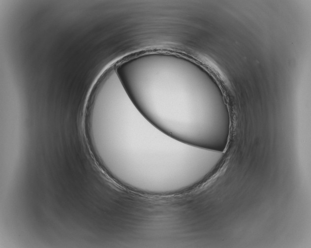 X0000108480924200904031116