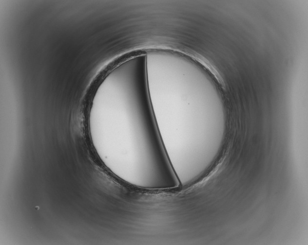 X0000108480926200904031116