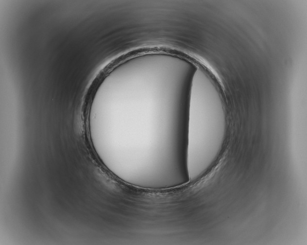 X0000108480927200904031116