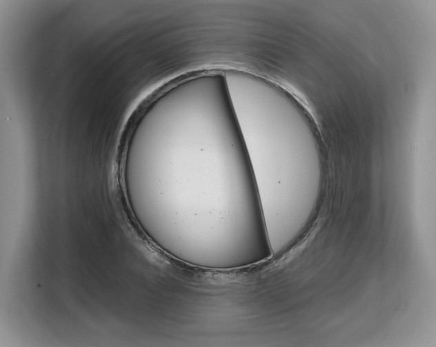 X0000108480928200904031116