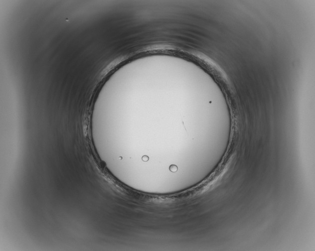 X0000108480929200904031116
