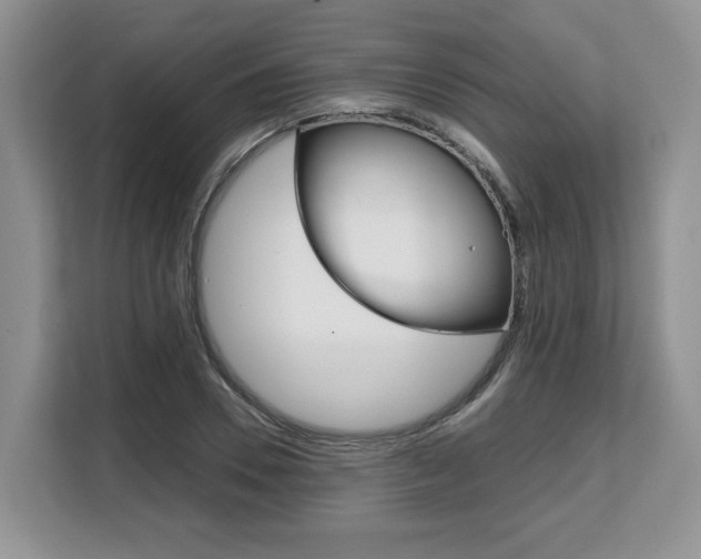 X0000108480930200904031116