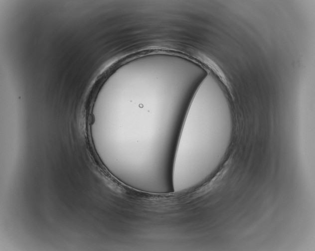 X0000108480931200904031116