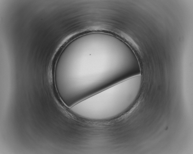 X0000108480934200904031116