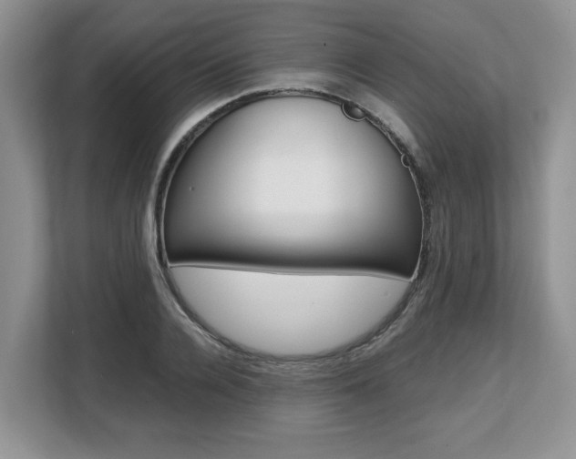 X0000108480936200904031116