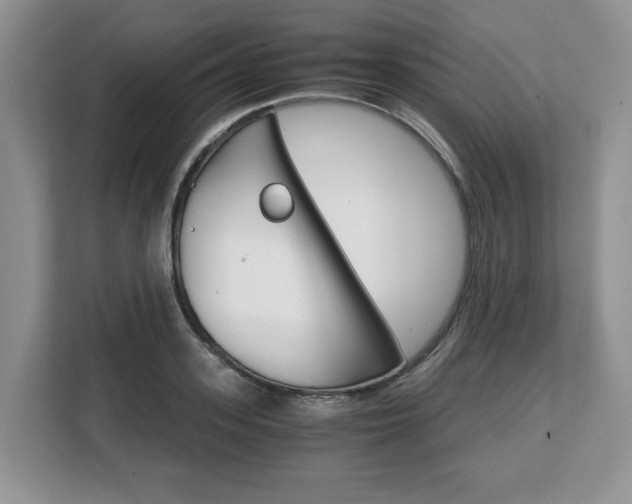 X0000108480939200904031116
