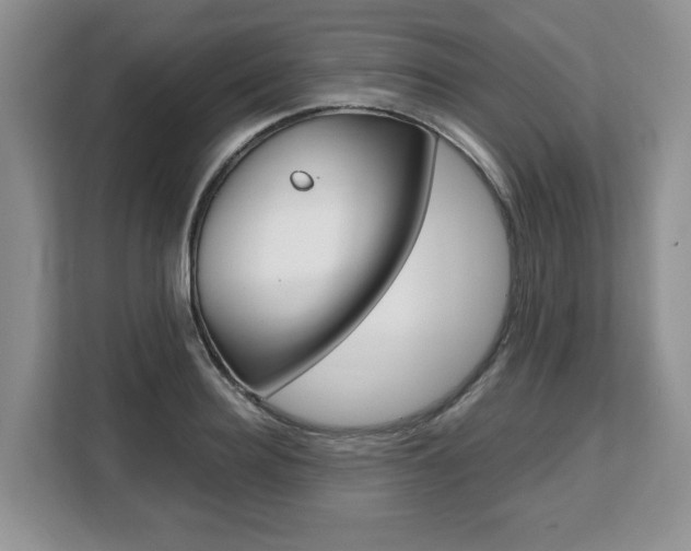 X0000108480940200904031116