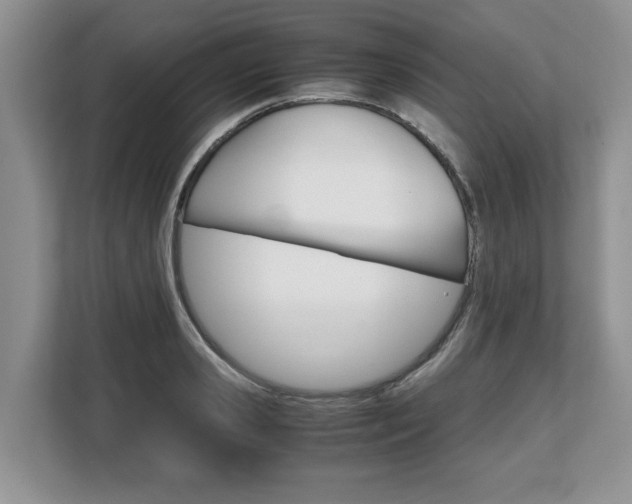 X0000108480941200904031116