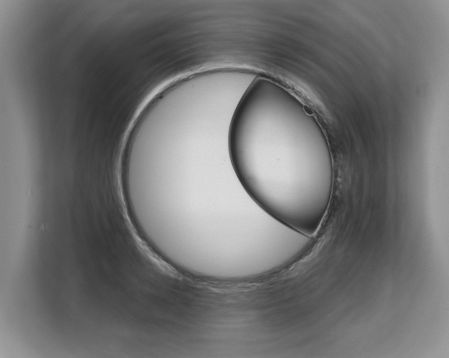 X0000108480942200904031117