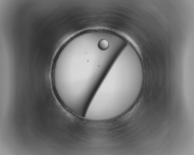 X0000108480943200904031117
