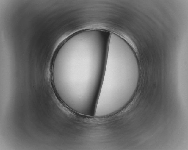 X0000108480944200904031117