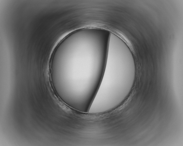 X0000108480948200904031117