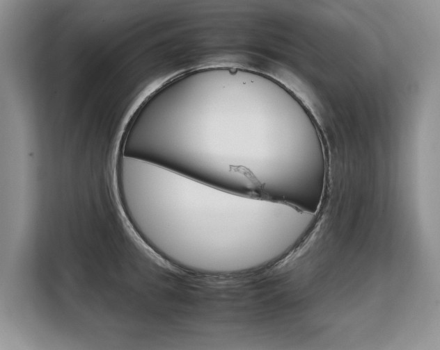 X0000108480949200904031117